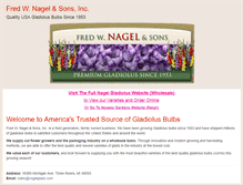 Tablet Screenshot of nagelglads.com